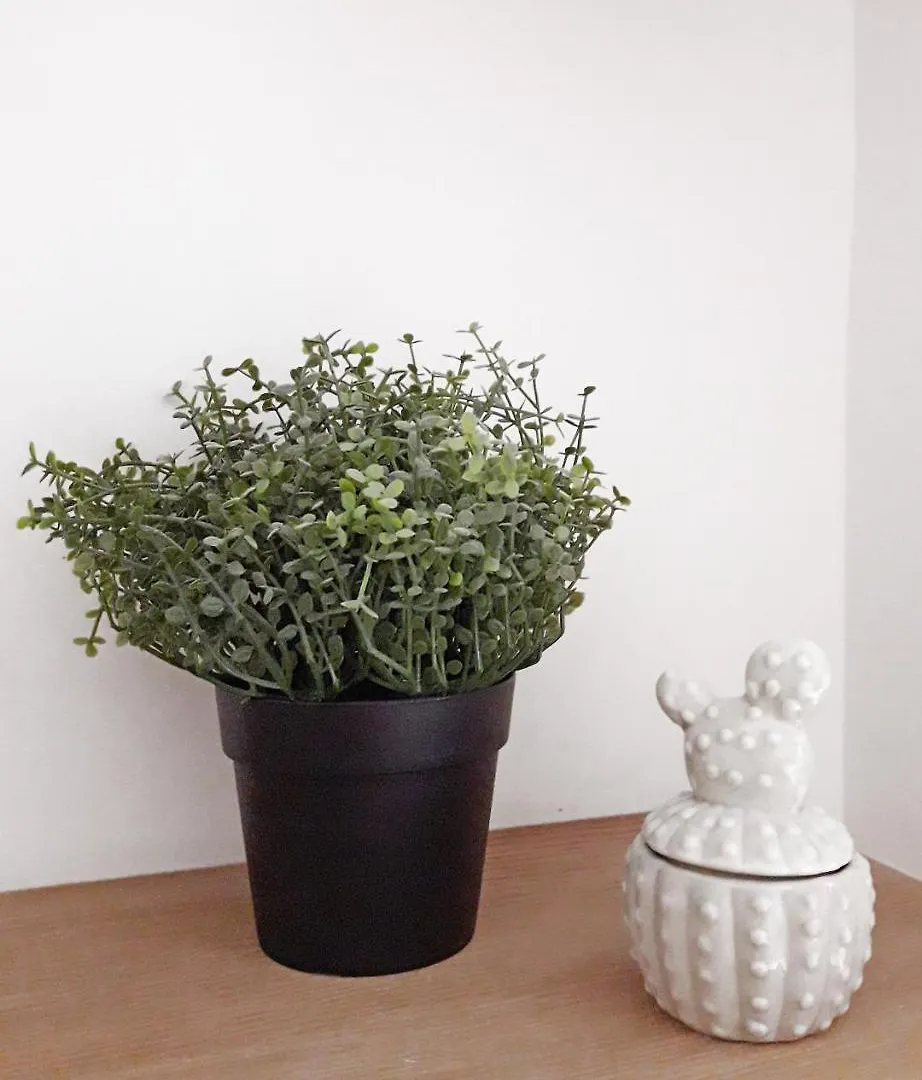 Apartment Appartement Paris Haussmann